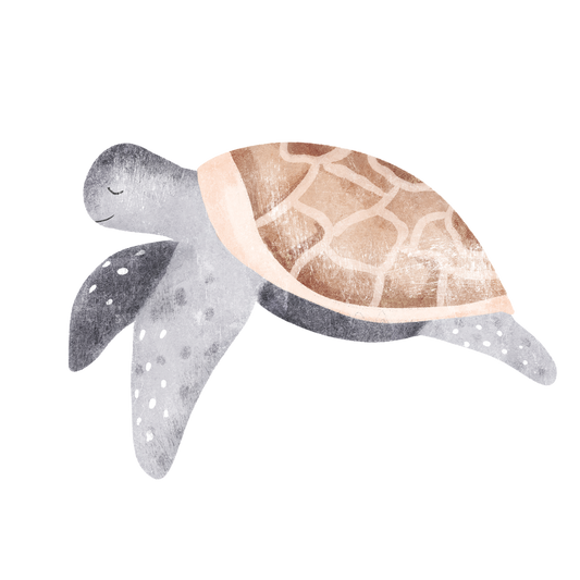 Bügelbild Schildkröte